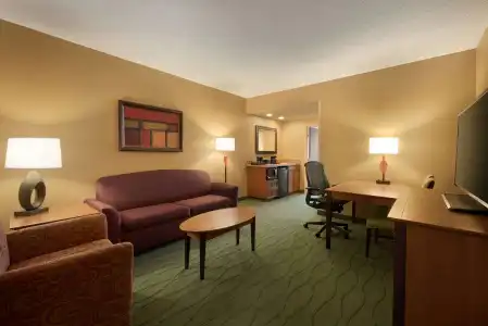 Embassy Suites by Hilton E Peoria Riverfront Conf Center - 4