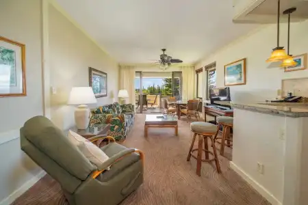 Kapalua Villas Maui - 300