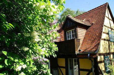 Spa Resort Landlust Dresden - 66