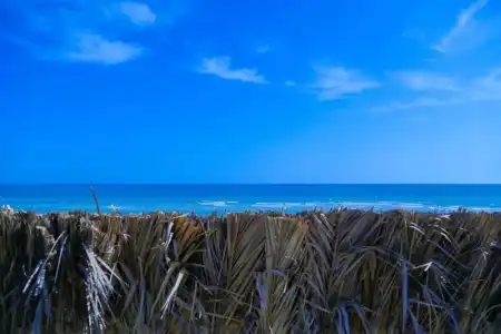 Aljazira Beach & Spa  -  Families and Couples Only - 28