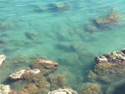 La Casetta di Dory Sul Mare - 13