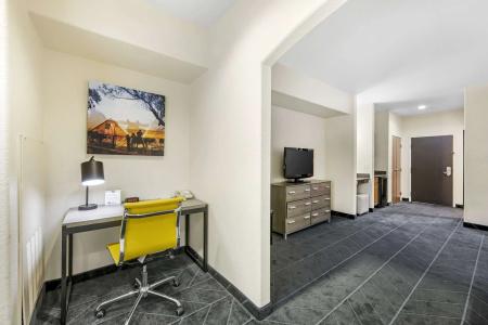 Best Western Lubbock West Inn & Suites - 49