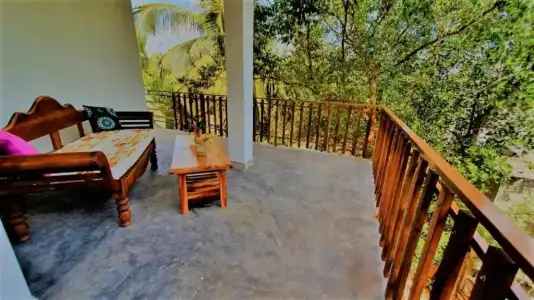 Turtle Paradise - 108