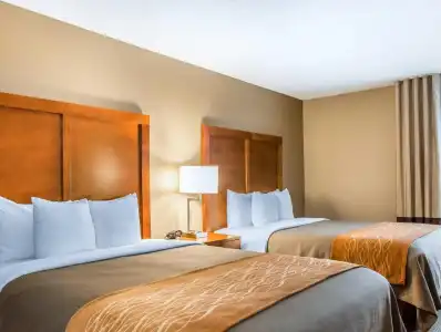 Comfort Inn North/Polaris - 43