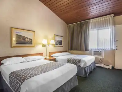 Econo Lodge Motel Village - 46