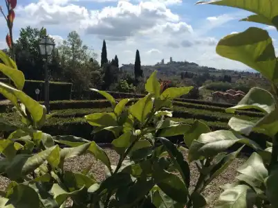 La Collegiata - 79