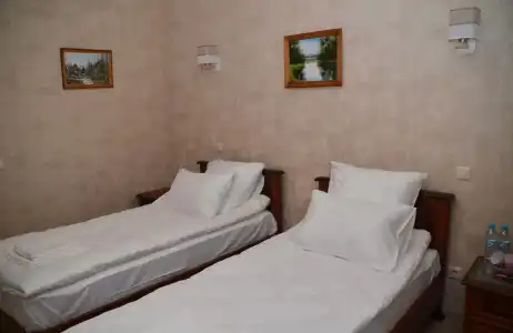 Tsentralny Mini-Hotel - 102