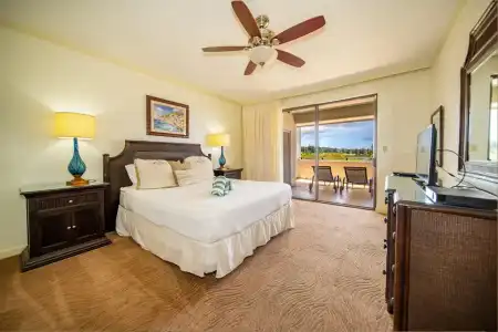 Kapalua Villas Maui - 295