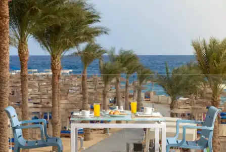 Beach Albatros The Club - Hurghada - 2