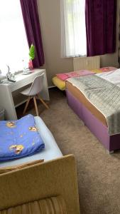 Pension Triebischtal - 27