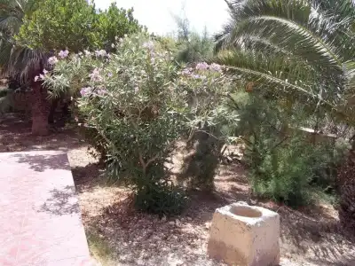 San Antonio Guest House - 96