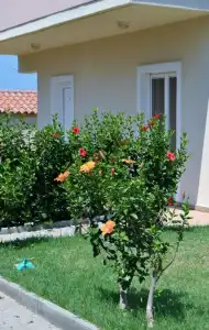Evdokia Apartments - 100