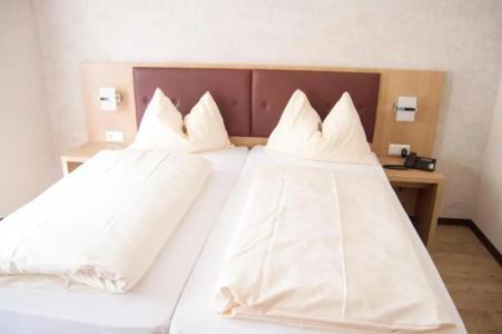 Restaurant Zum Schwan - 36