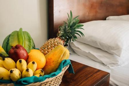 Mount Havana Luxury Boutique Villa - 10