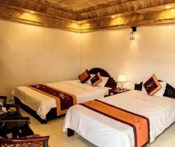 Sapa Mimosa - 20