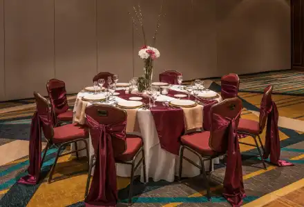 Crowne Plaza Springfield by IHG - 30