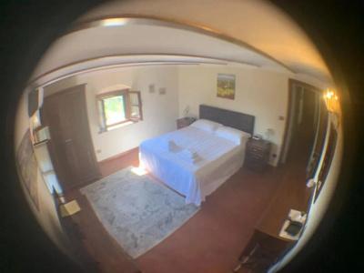 Villa Schiatti - 81