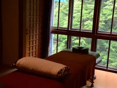 Shirahone Onsen Tsuruya Ryokan - 2