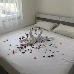 Vera Park Premium Apart - 12