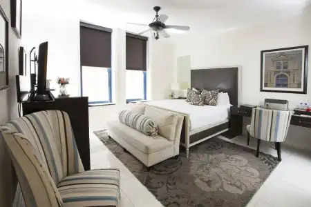 The Cincinnatian Curio Collection by Hilton - 6