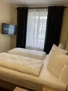 Palm Premium - 66
