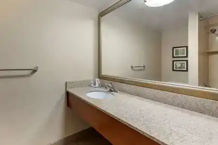 Comfort Inn Lansing West - 8