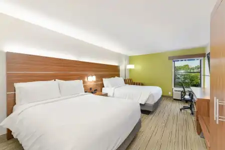 Holiday Inn Express Pigeon Forge/Near Dollywood by IHG - 5