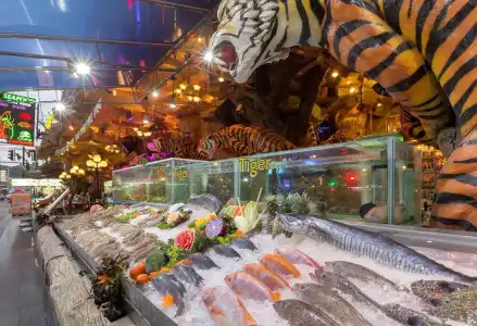 Tiger Complex - 20