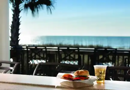 Marriott's SurfWatch - 11