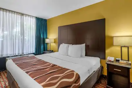 Rodeway Inn Clearwater - Central - 3