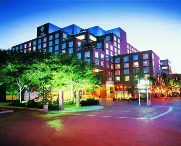 Harvard Square - 17