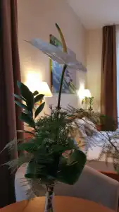 Parkdel Mar - 51