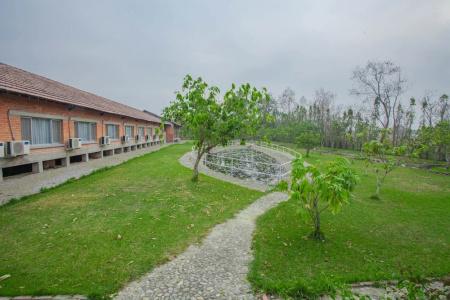 Lumbini Hokke - 13