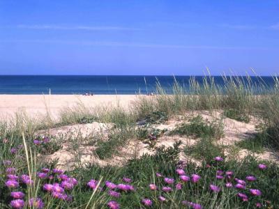 Lagosmar - 21