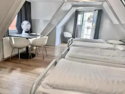 The White Tulip Hostel - 58