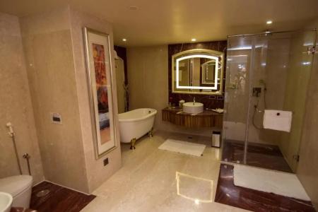 Shakuns and Resorts - 15