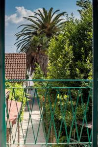 Garden Apartment - 184