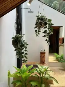 The Place Luxury Boutique Villas - 70