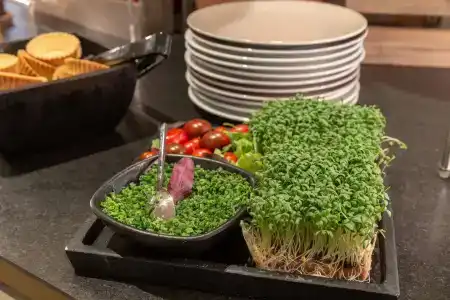 Holiday Inn - the niu, FRANZ VIENNA by IHG - 8