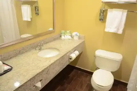 Best Western Premier Houston Downtown/Convention Center - 34