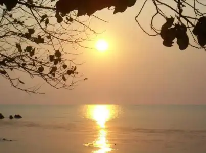 Kohchang Privilege - 15