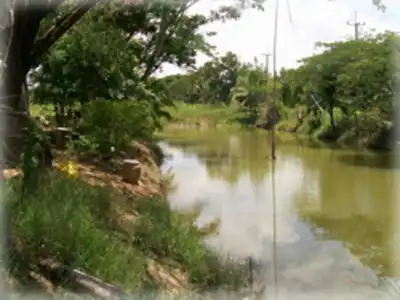 Ingdao Resort - 9