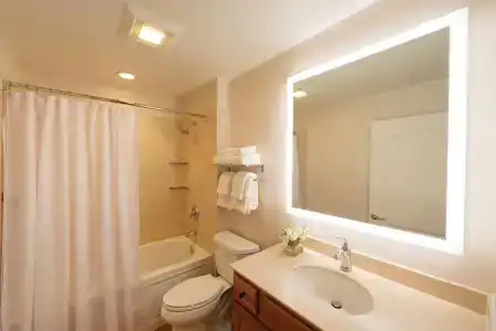 Sheraton Vistana Villages Resort Villas, I-Drive/Orlando - 8