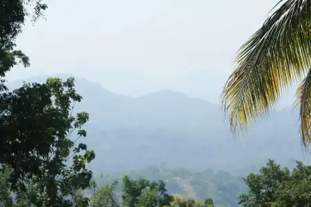 Anura Guest Inn - 70