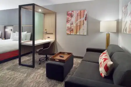 SpringHill Suites by Marriott Atlanta Northwest - 17