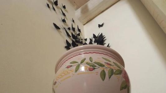 B&B Casa Fiore - 77