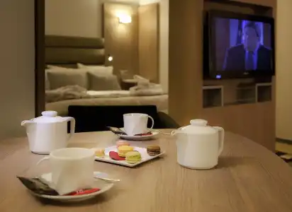 Mercure Grenoble Centre Porte des Alpes - 94