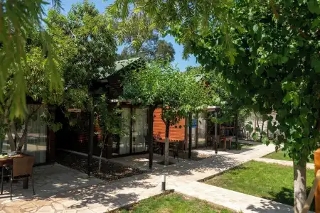 Koala Bungalow - 49