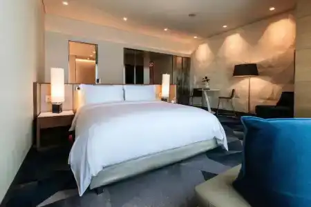 Sofitel Mexico City Reforma - 64