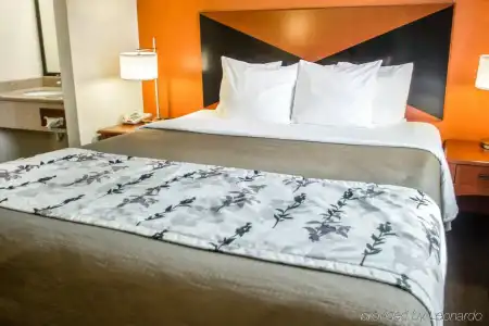 Sleep Inn Sarasota North - 40